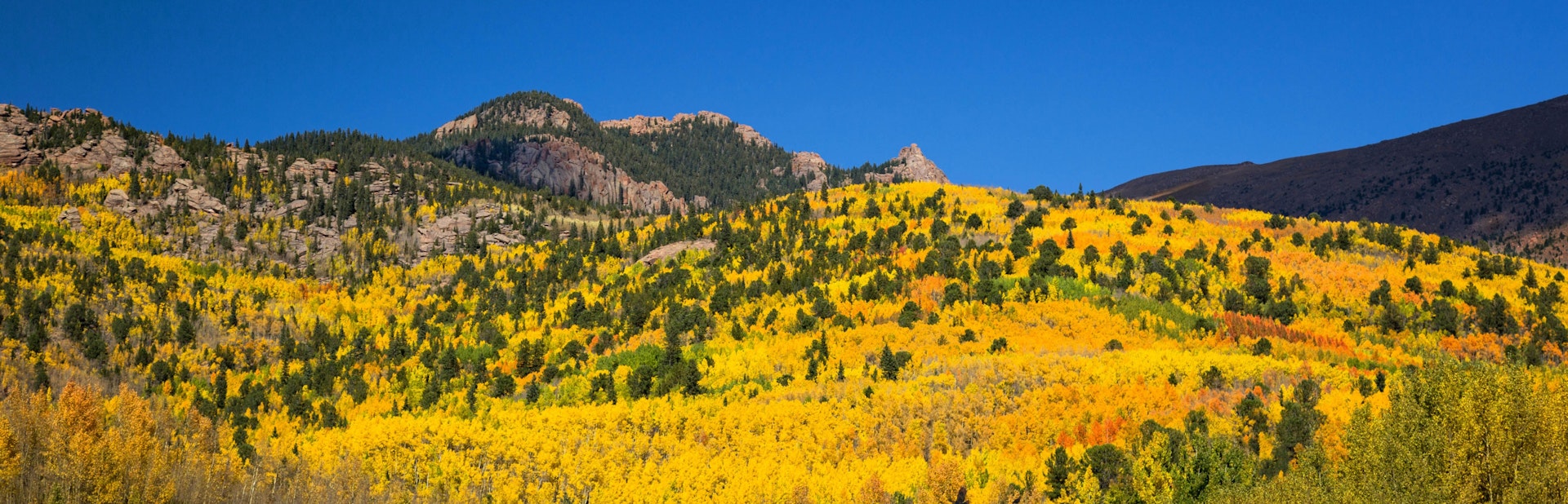 Fall in Colorado Springs - Visit Colorado Springs