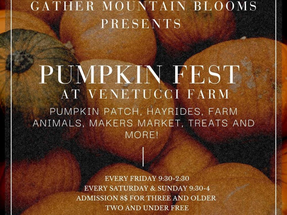 Western Museum of Mining and Industry halloween pumpkin patch