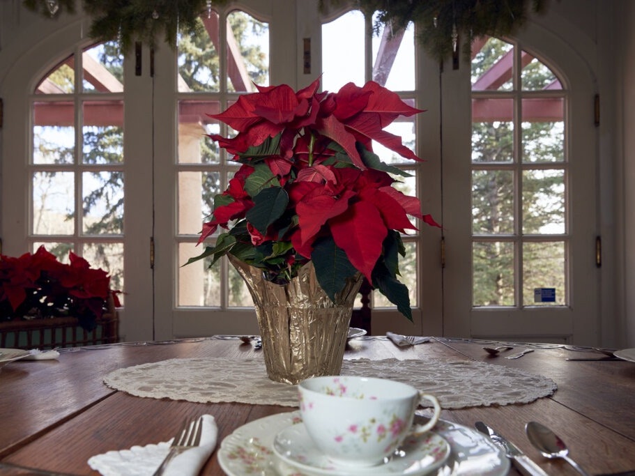 Colorado Springs Christmas Events & Activities 2024 Visit Colorado